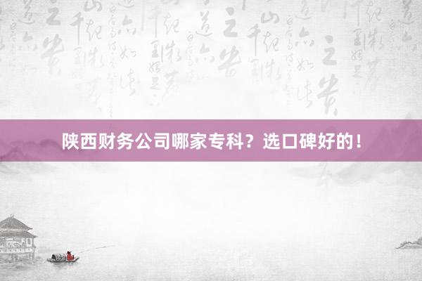 陕西财务公司哪家专科？选口碑好的！
