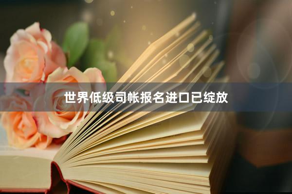 世界低级司帐报名进口已绽放