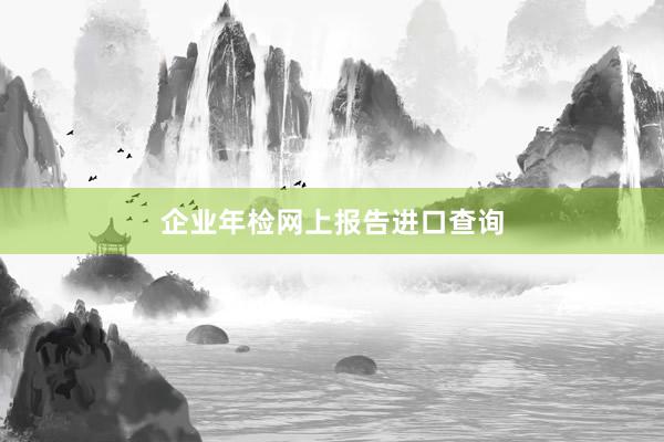 企业年检网上报告进口查询